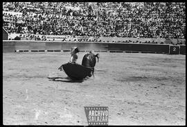 Torero en Plaza de Toros Quito.