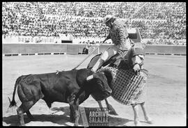 Corrida en Plaza de Toros.