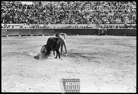 Torero en Plaza de Toros Quito.